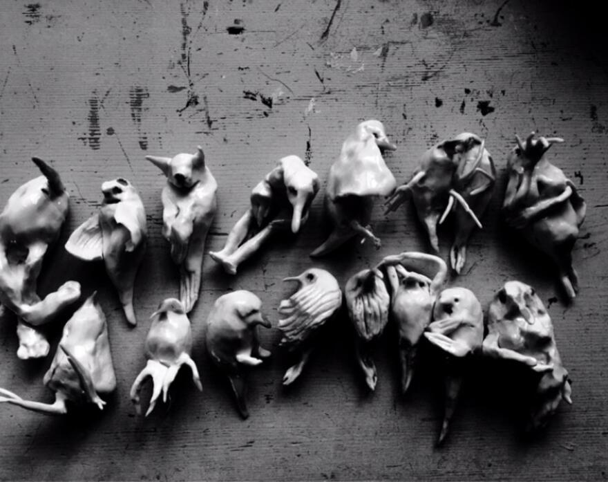 Birds black and white